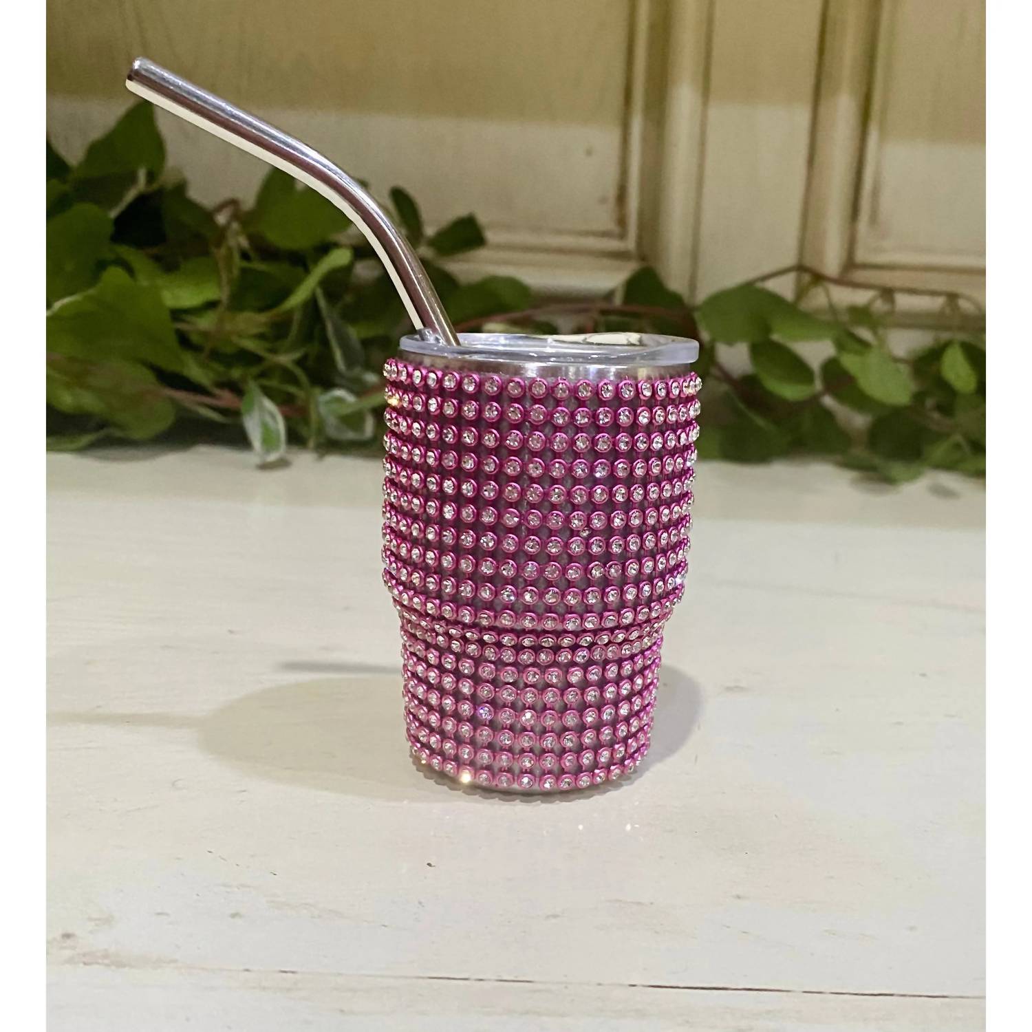 Desheng Enterprise - Mini Tumbler Shot Glass With Straw