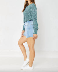 Judy Blue - Light Raw Hem Shorts