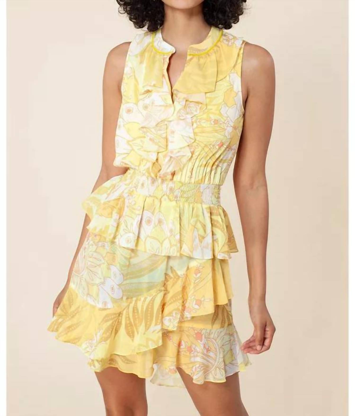 Hale Bob - Roux Dress