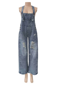 Rosa Clothing - Southern Country Distressed Washed Denim Overall