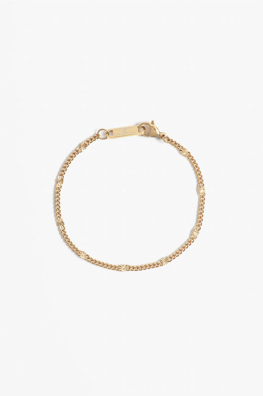 Marrin Costello - Women's Paradise Bracelet