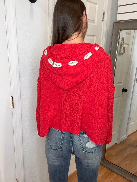 Pol - Crystal Chenille Hooded Sweater