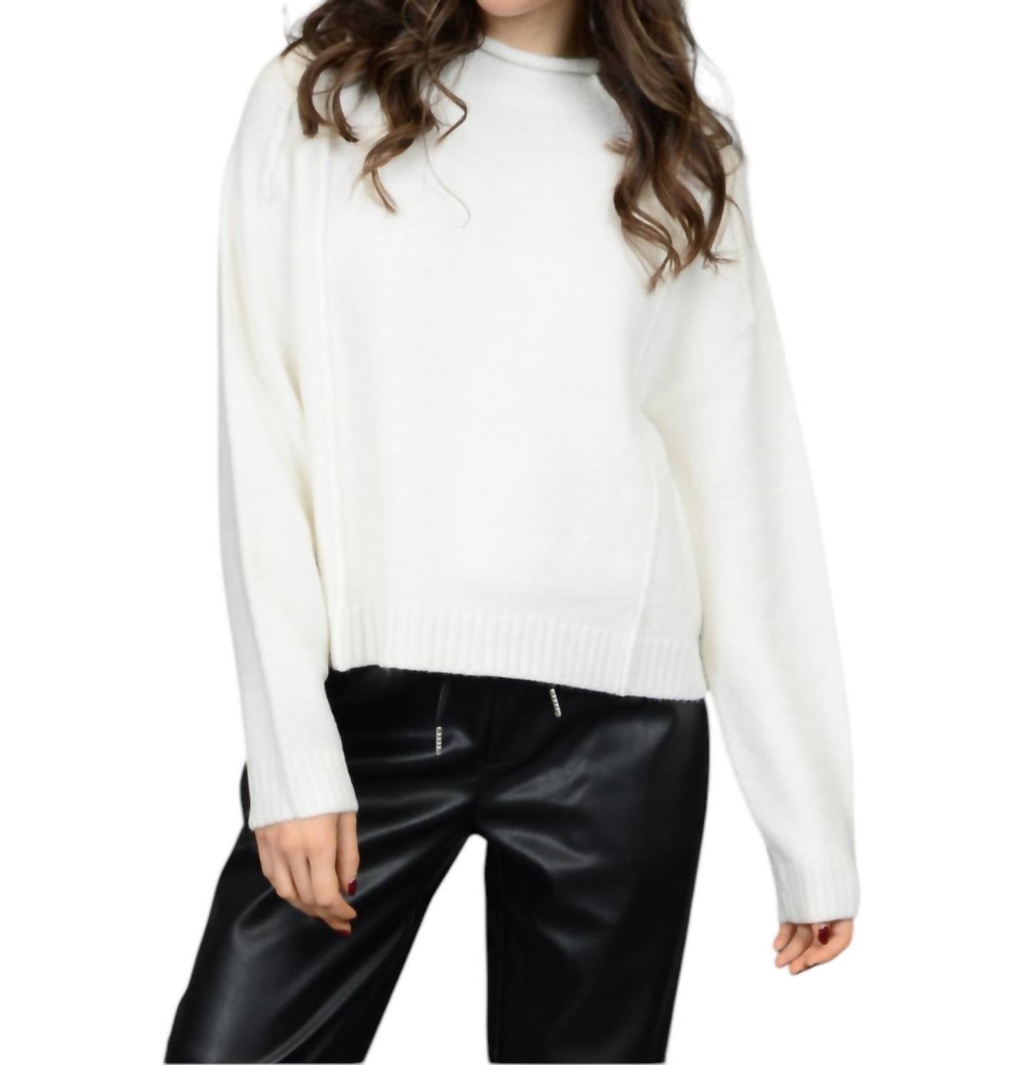 Rd Style - Noella Funnel Neck Sweater