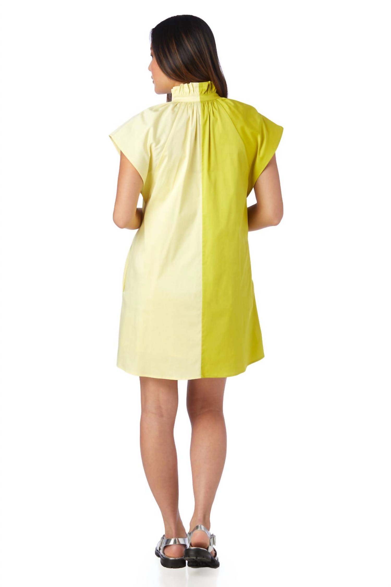 Crosby By Mollie Burch - Wilhelmina Dress