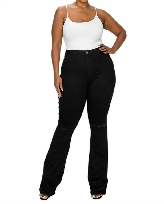 The M.A.P. Jeans - PLUS CURVY FLARE JEAN