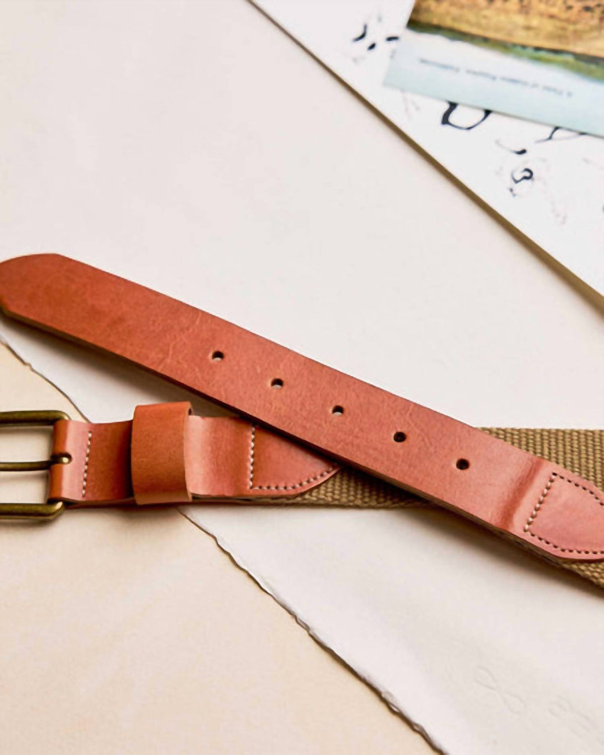 Taylor Stitch - Men's Webbed Belt