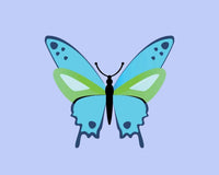 Pink Picasso - Butterfly Diy Paint Kit