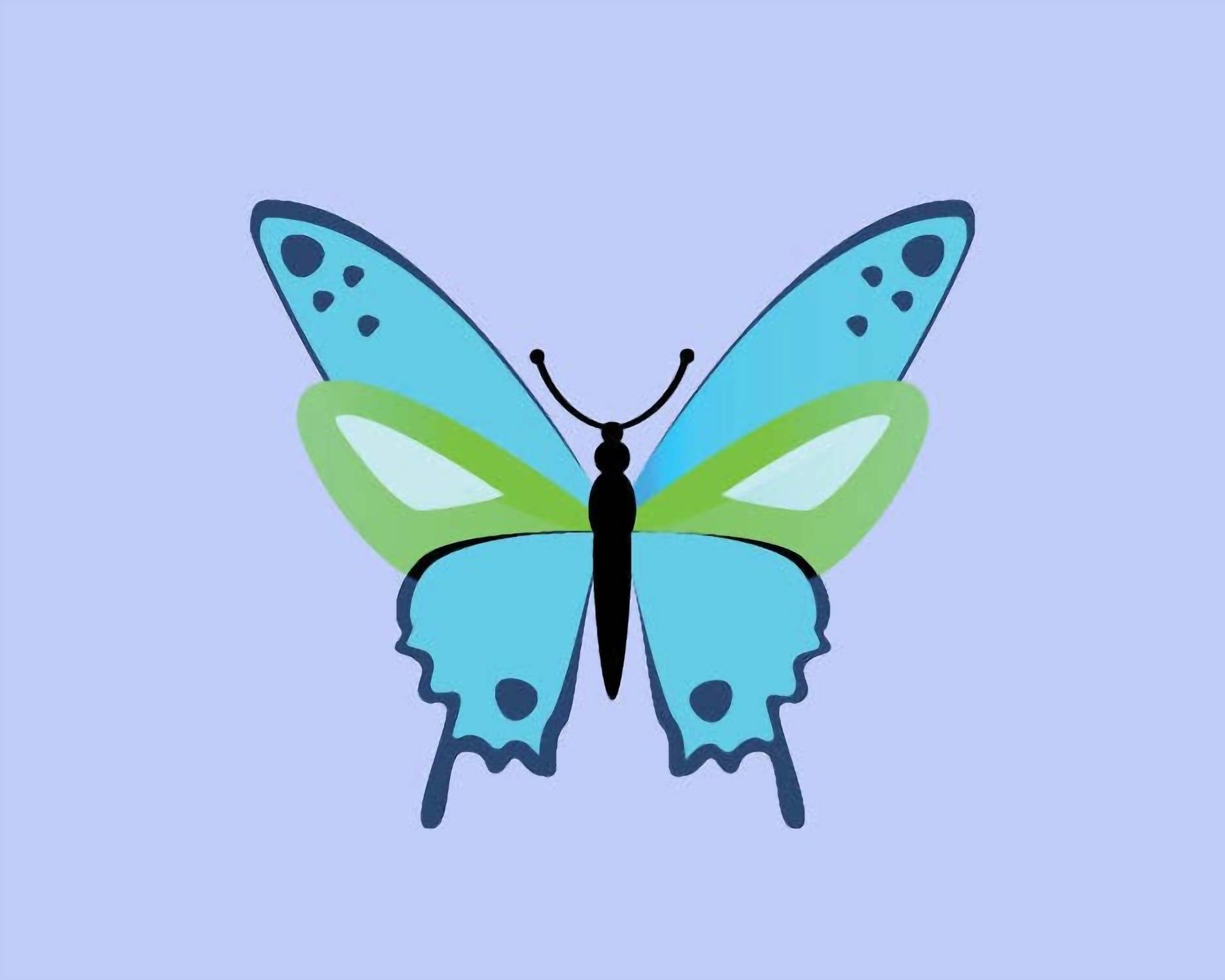 Pink Picasso - Butterfly Diy Paint Kit