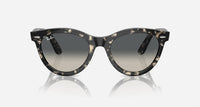 Ray Ban - Women's Rb2241 Wayfarer Way Sunglasses