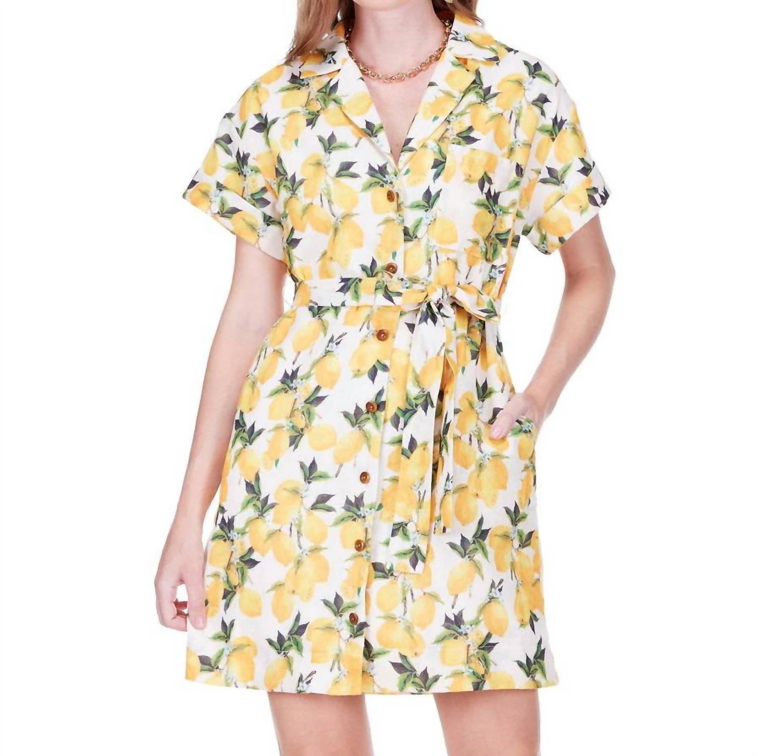 Joy Joy - Pocket Shirt Dress
