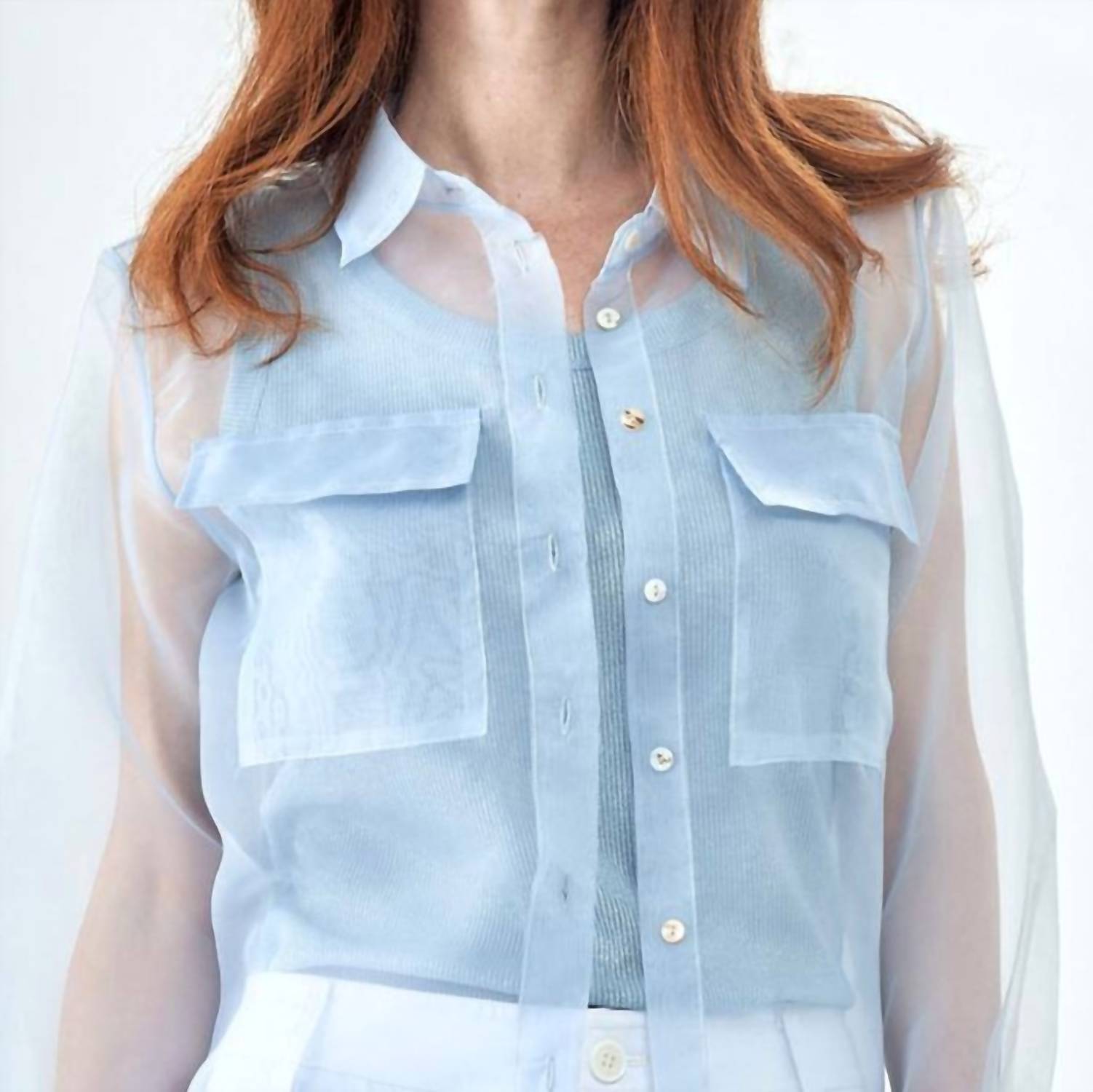 Insight - Sheer Organza Solid Blouse