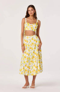 Astr - Myria Midi Skirt