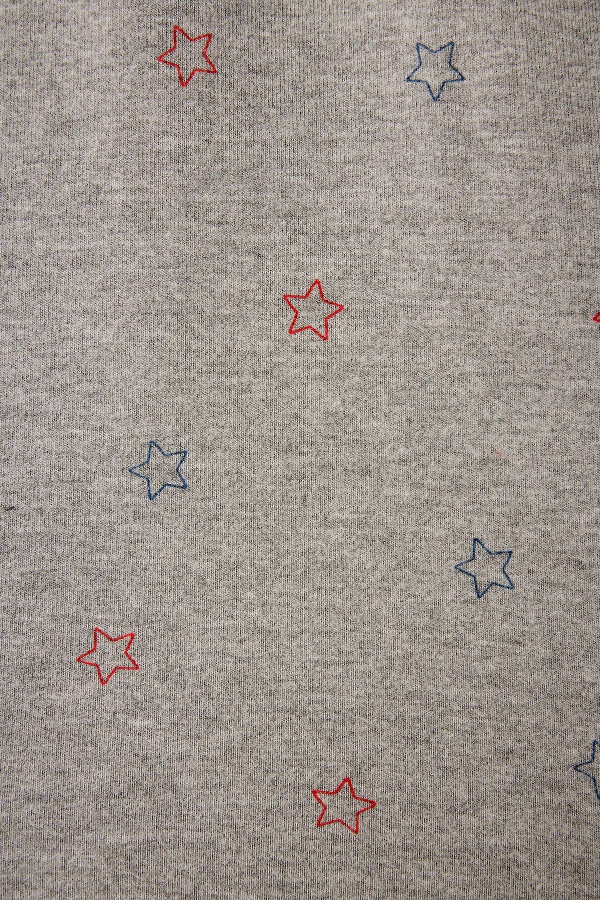 Pj Salvage - Woof Star Print Shorts