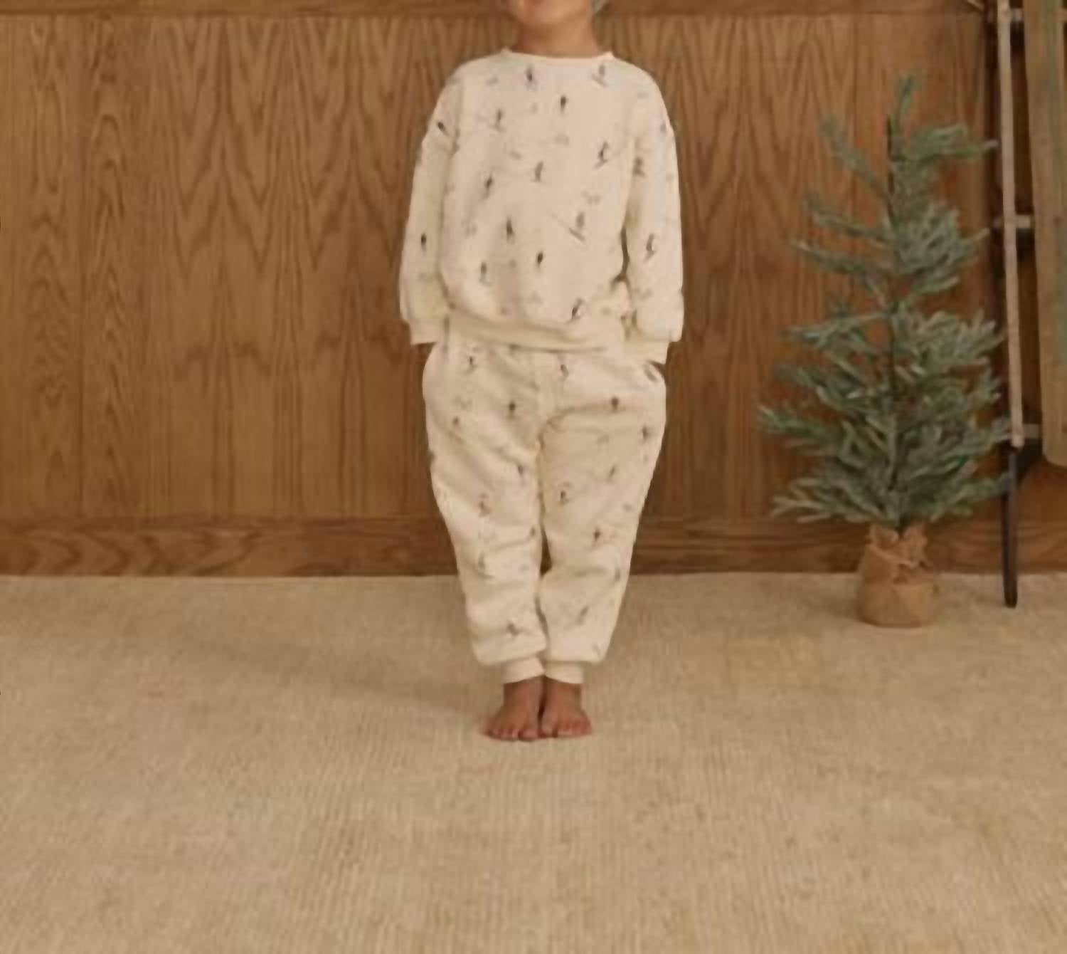 Rylee + Cru Relaxed Sweatshirt & Jogger Sweatpant Set in skiers - item - detail view