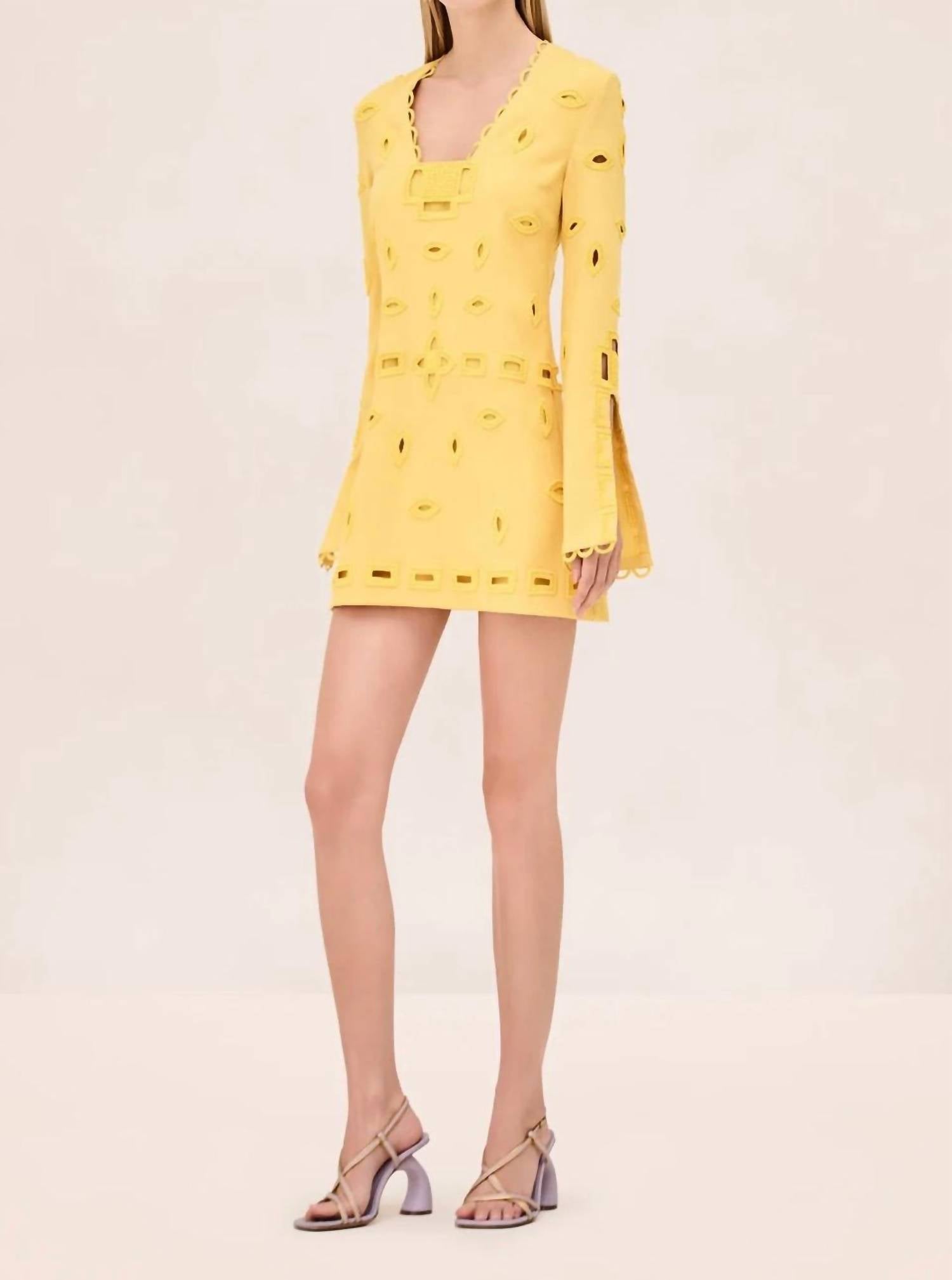 Alexis - Eulia Mini Dress
