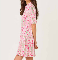 Lilly Pulitzer - Bingley Dress