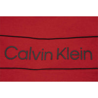 Calvin Klein - Men's Long Sleeve Iconic Logo Piping Pullover Hoodie