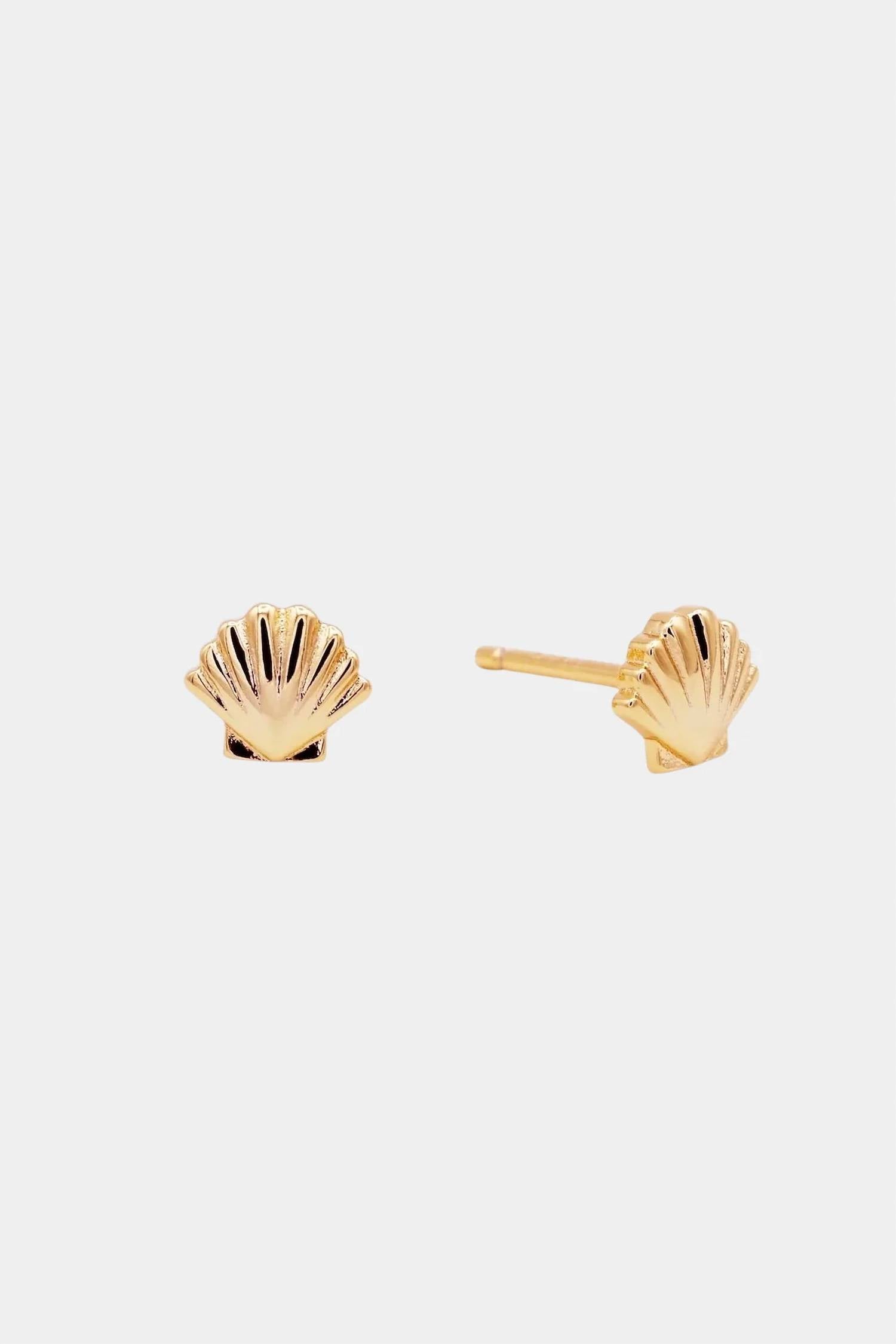 Jaxkelly - Women's Seashell Earrings