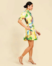 Mestiza New York - Brooklyn Mini Dress