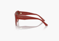 Jimmy Choo - Women's Cat Eye Sunglasses