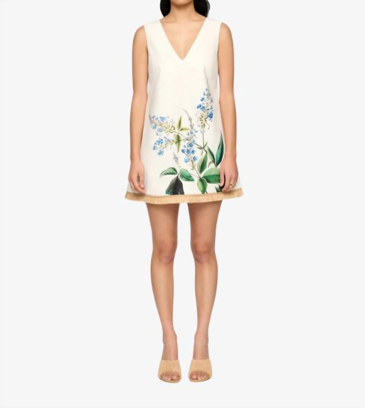 Clea - Pepe Mini Dress