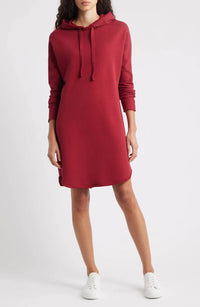 Frank & Eileen - Mini James Hooded Dress