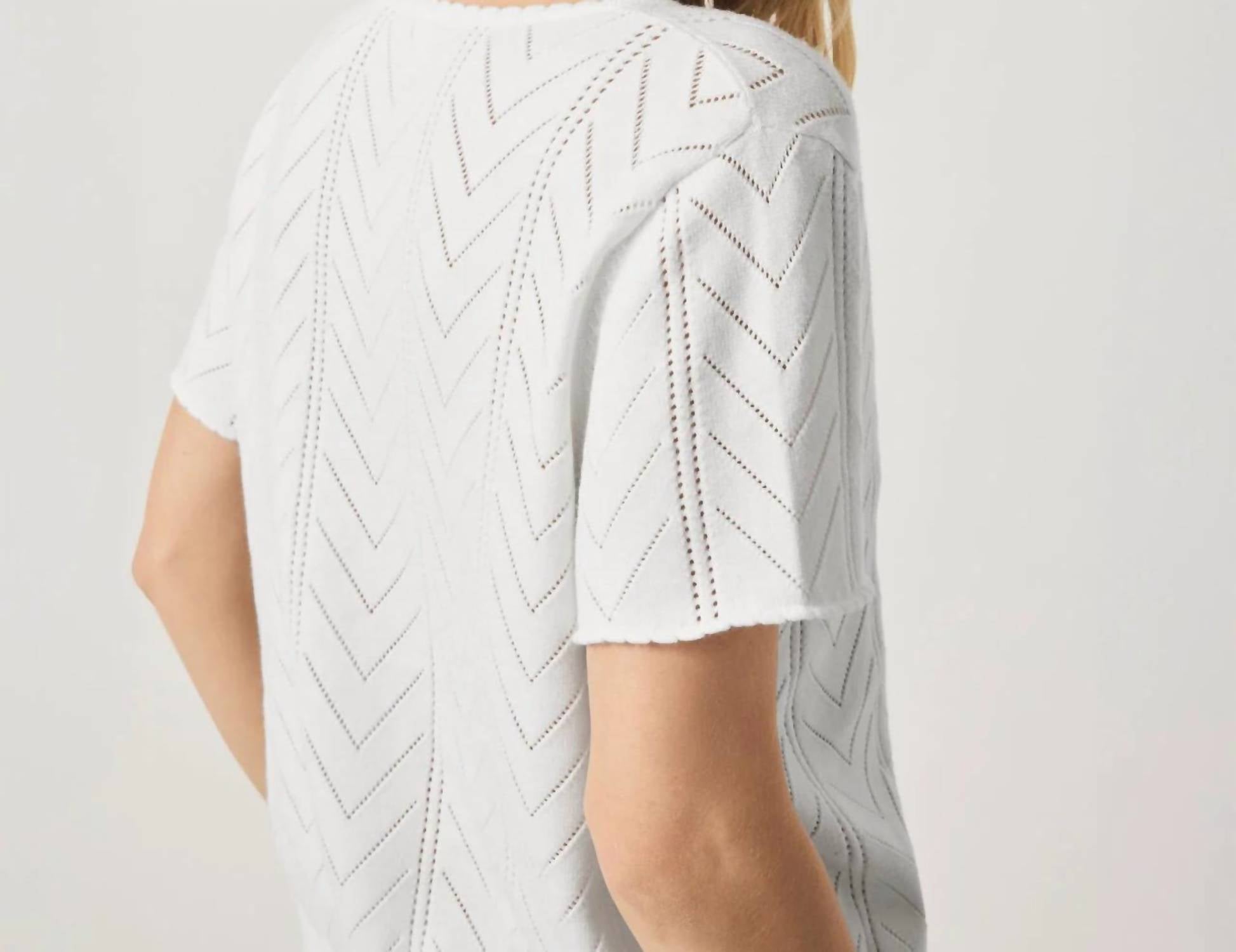 Splendid - Sabrina Pointelle Sweater