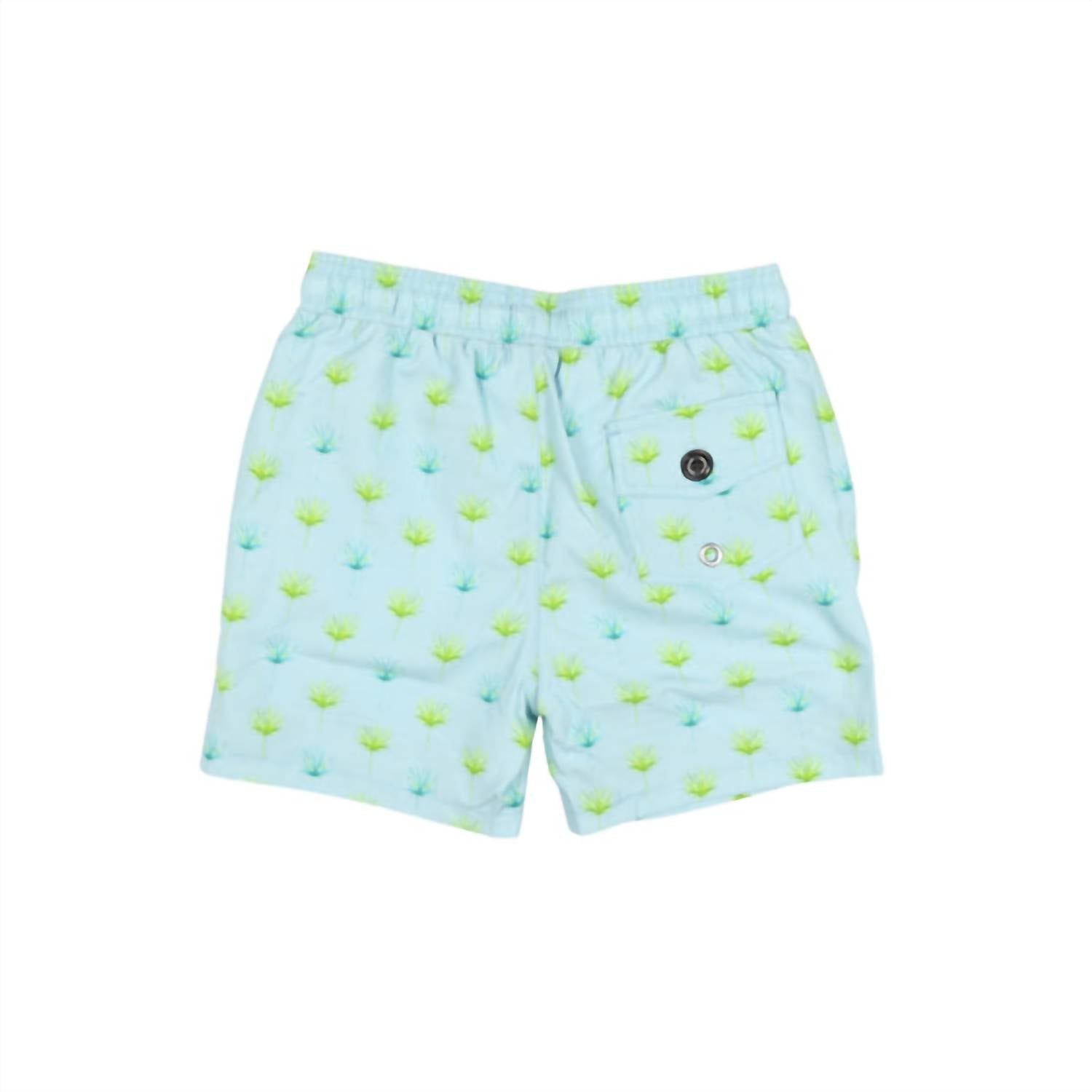 Blue Quail Clothing Co. - Boy's Palm Leaves Swim Trunk