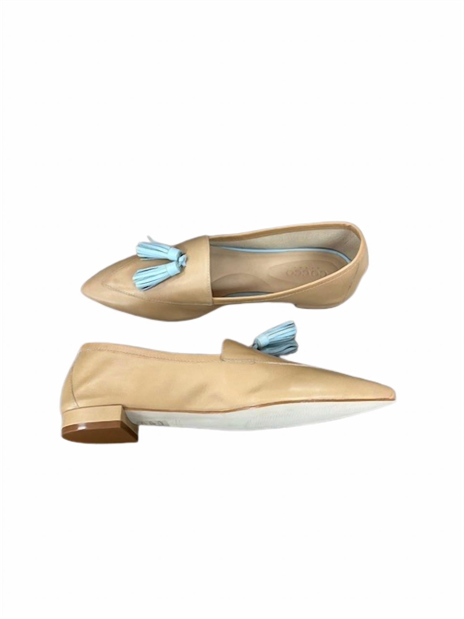 Cocco Miami - Women's Zs 19144-23 Pointed Toe