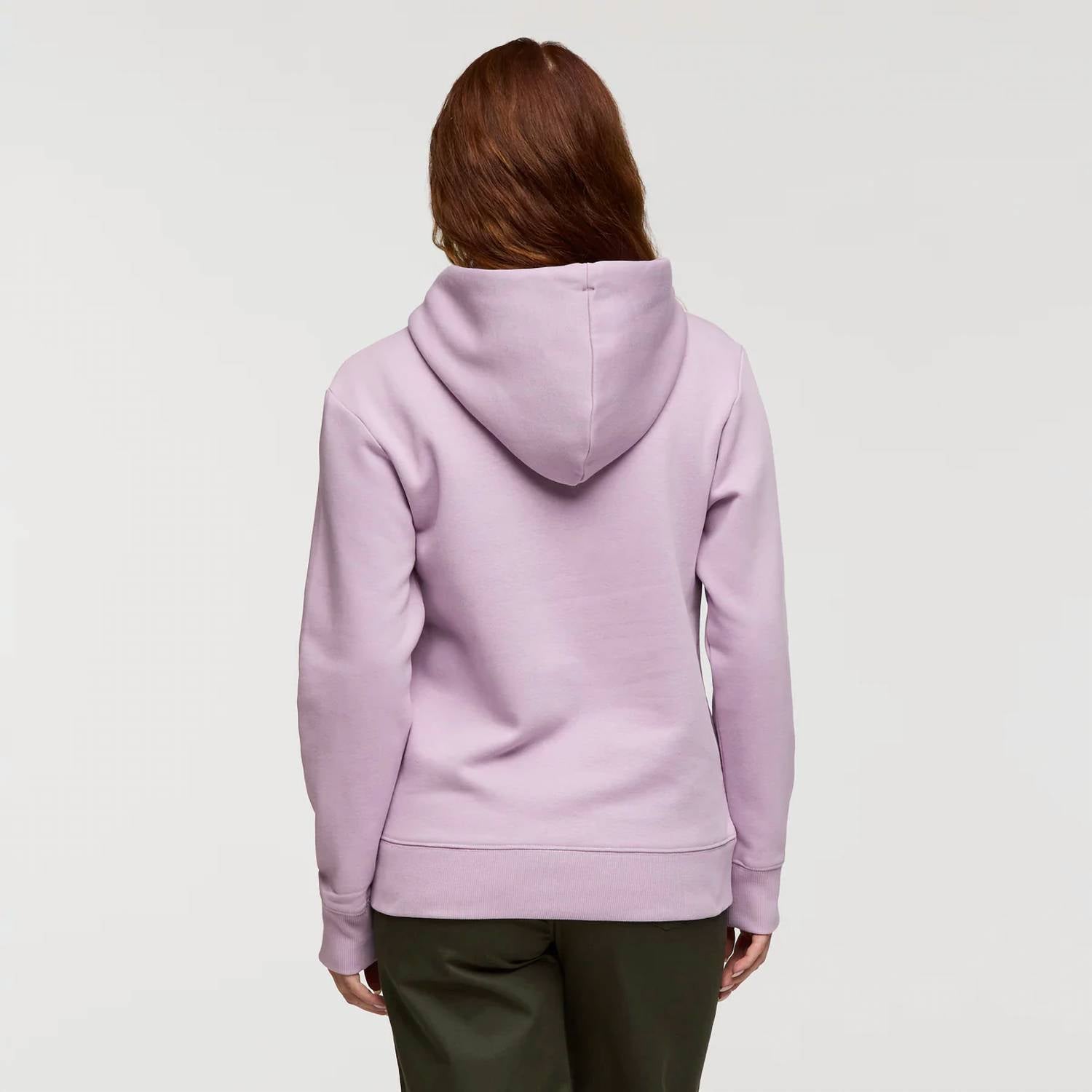 cotopaxi Do Good Pullover Hoodie in antique - women's top - alternate view
