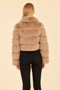 Dolce Cabo - Paneled Faux Fur Vegan Leather Cropped Jacket