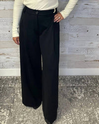 Democracy - Ab Solution Pleated Wide Leg Trouser