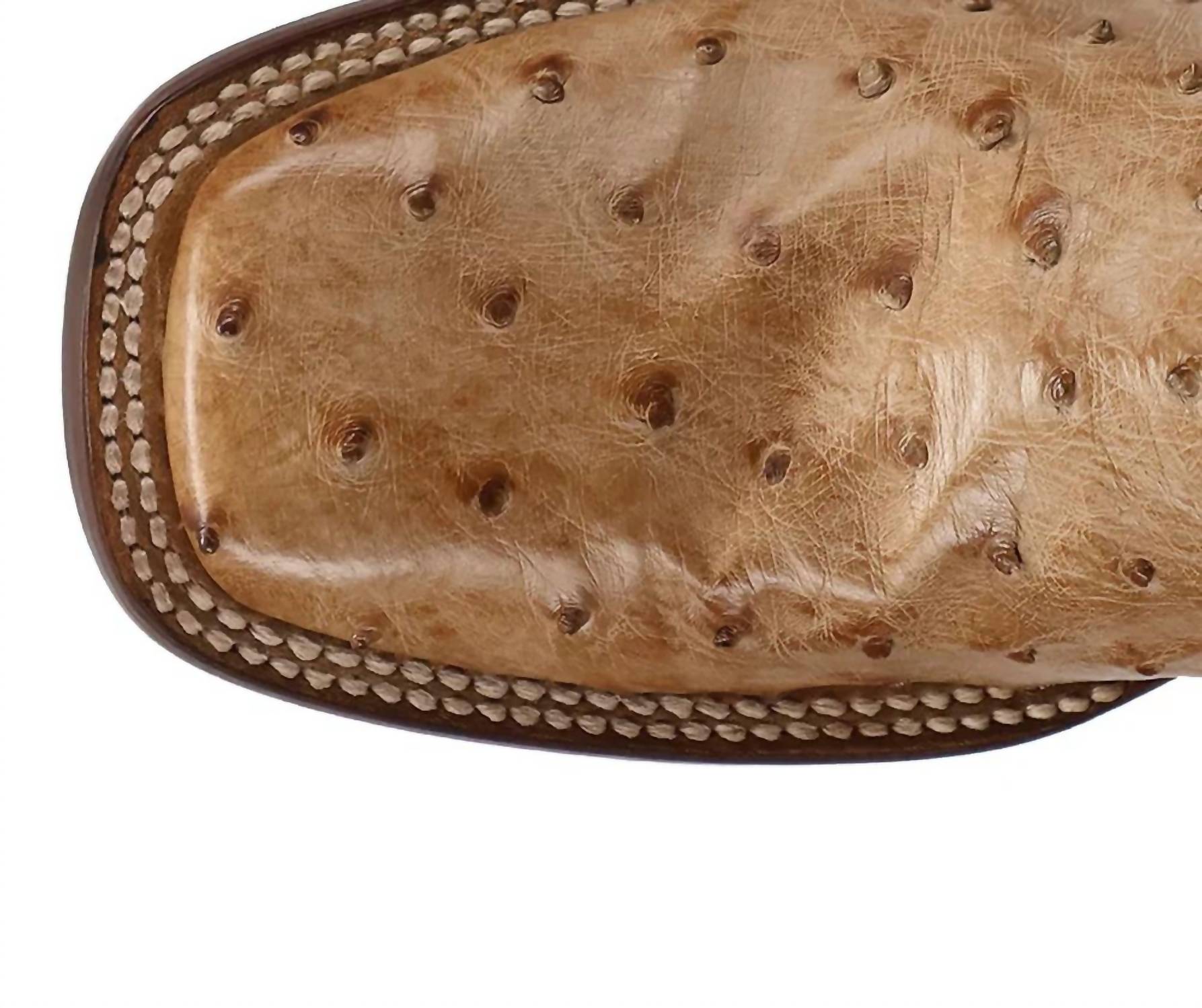 Dan Post. - Women's Reese Full Quill Ostrich Boot