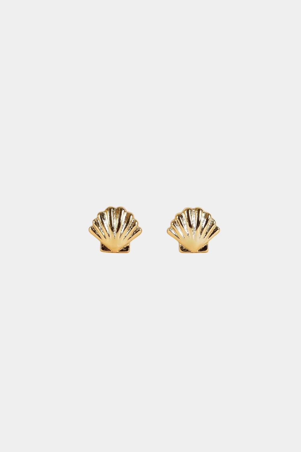 Jaxkelly - Women's Seashell Earrings