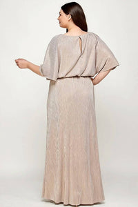 See And Be Seen - Metallic Stripe Pleats Dress