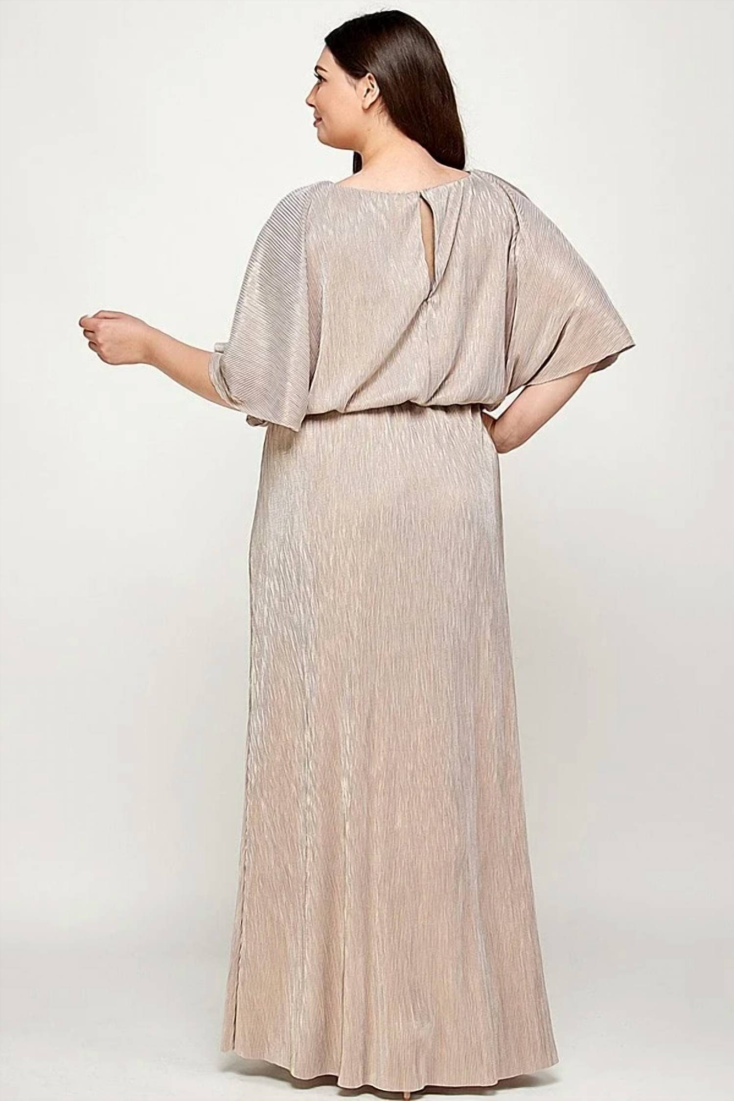 See And Be Seen - Metallic Stripe Pleats Dress