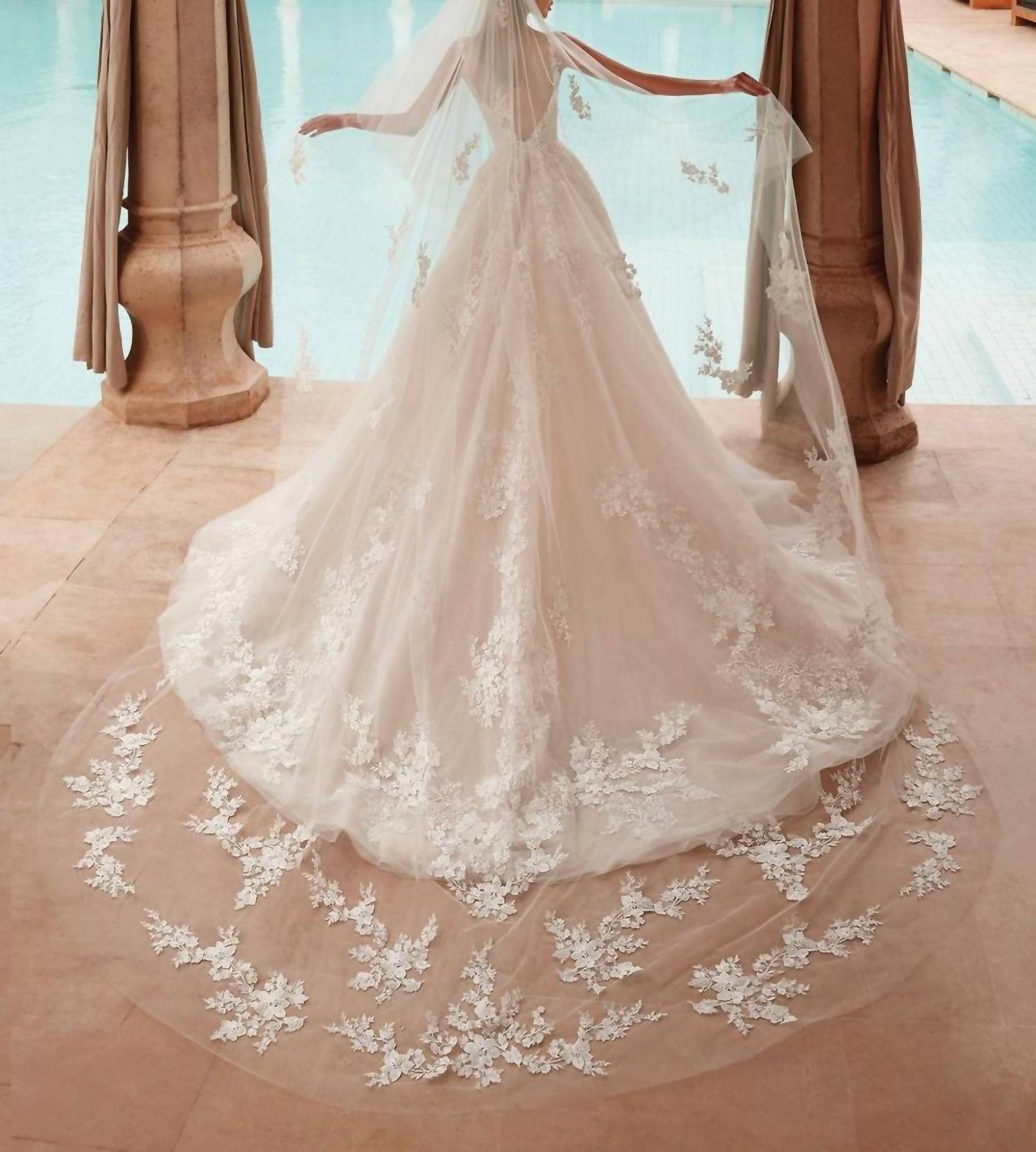 Demetrios - Beaded Lace Tulle Gown