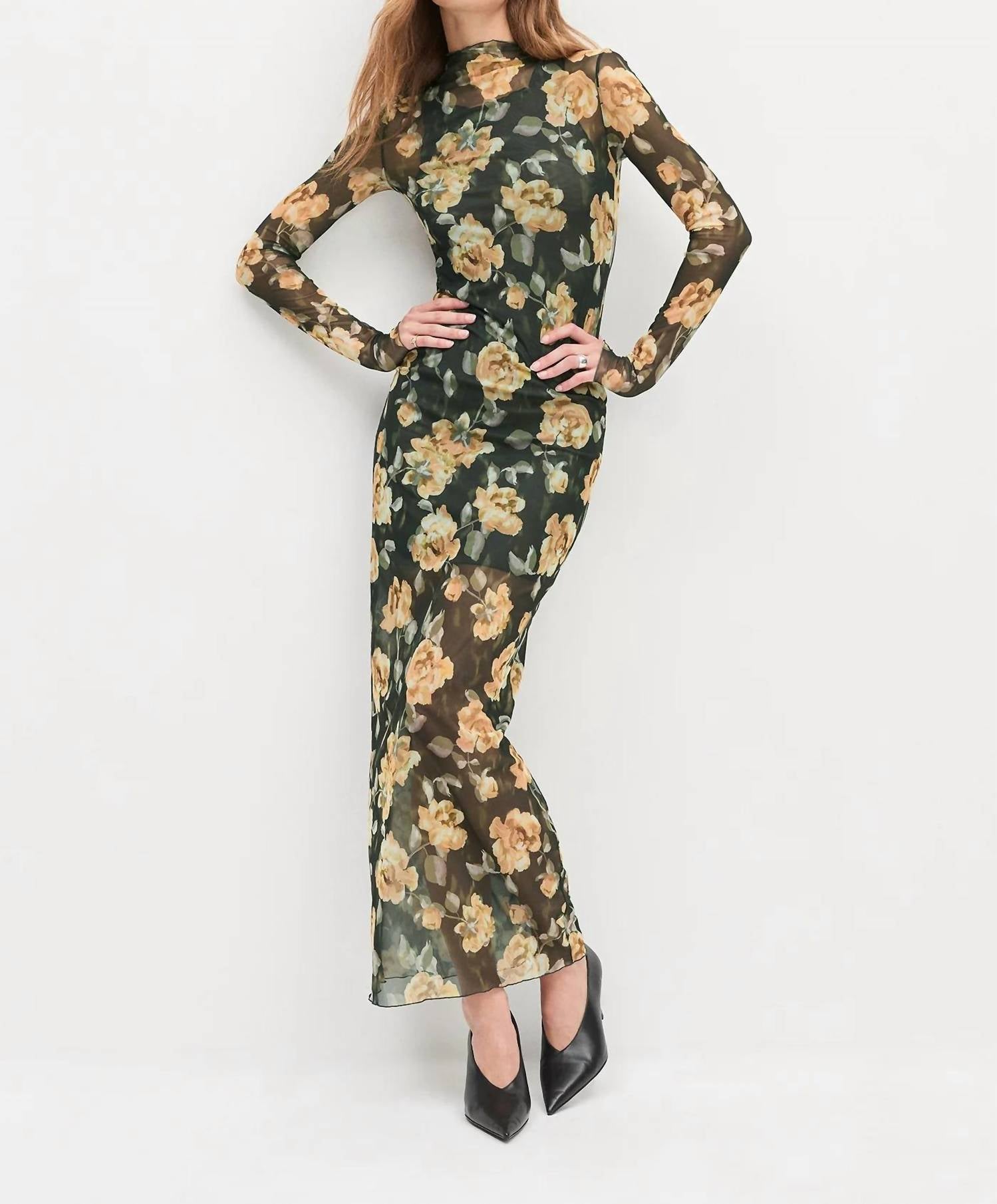 Favorite Daughter - Sheer Fantasy Dress