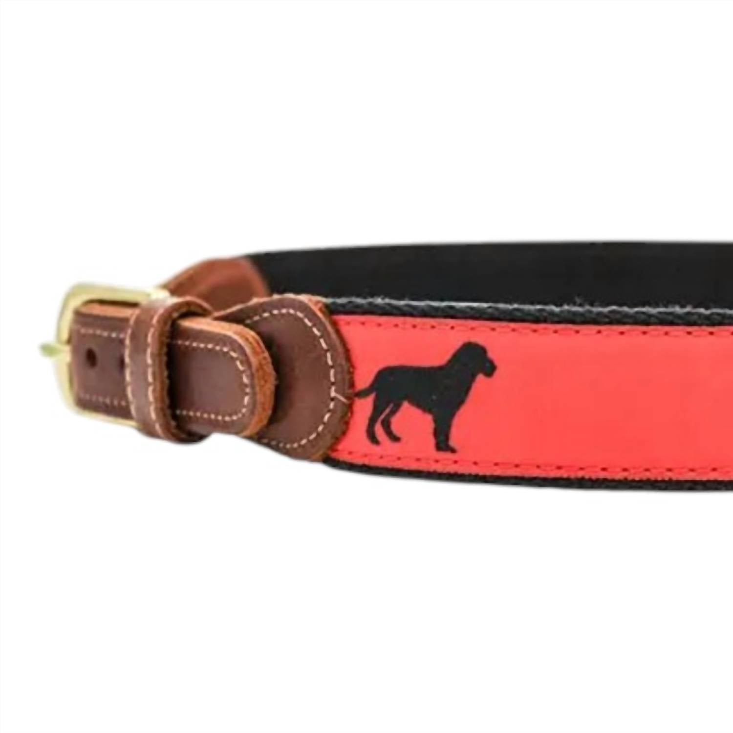 J. Bailey - Boys Buddy Belt