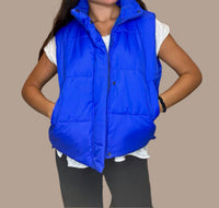 Panache Apparel - Bright Puffer Vest
