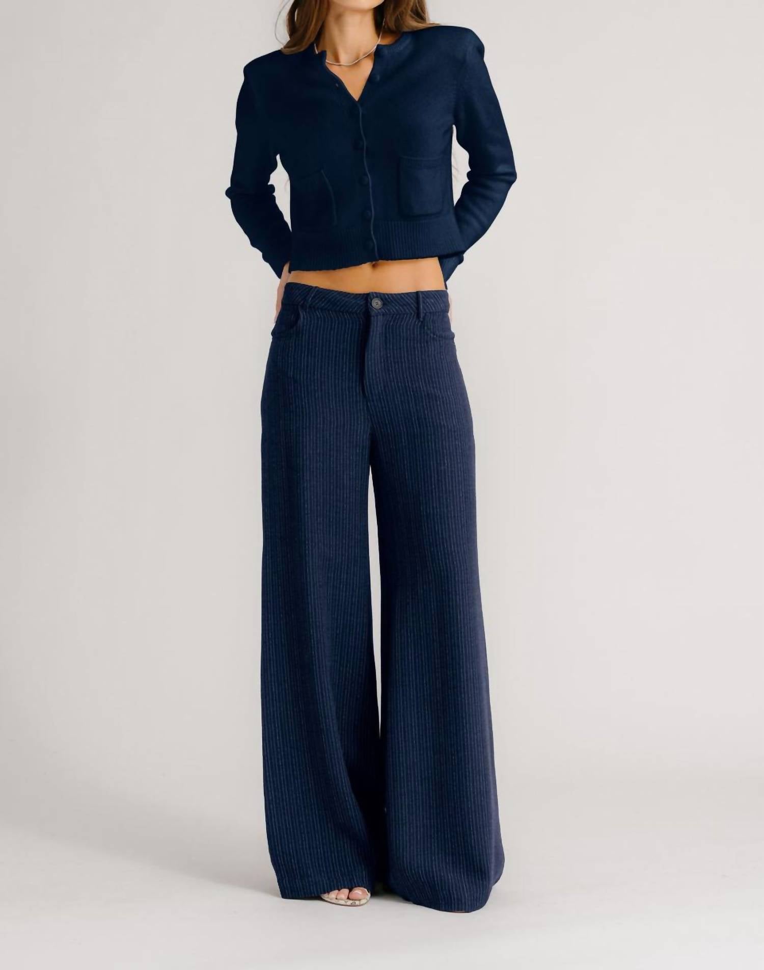 Sablyn - Adrianna Pinstriped Exaggerated Wide Leg Pants