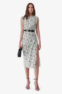 Iro - Paris Rachelie Printed Silk Long Dress