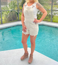 Judy Blue - Overly Adorable Overall Shorts