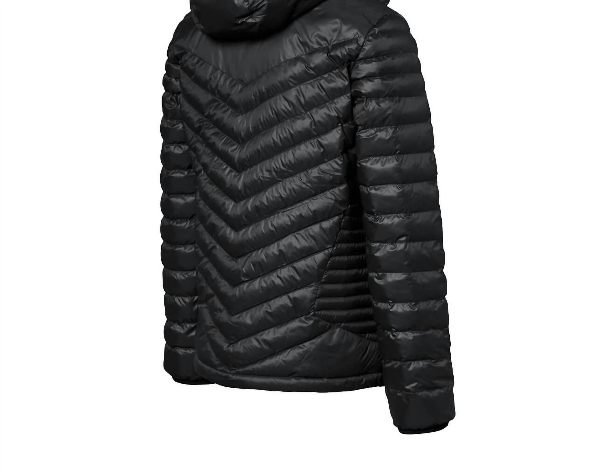 Porsche Design - Men's Lightweight Padded Jacket