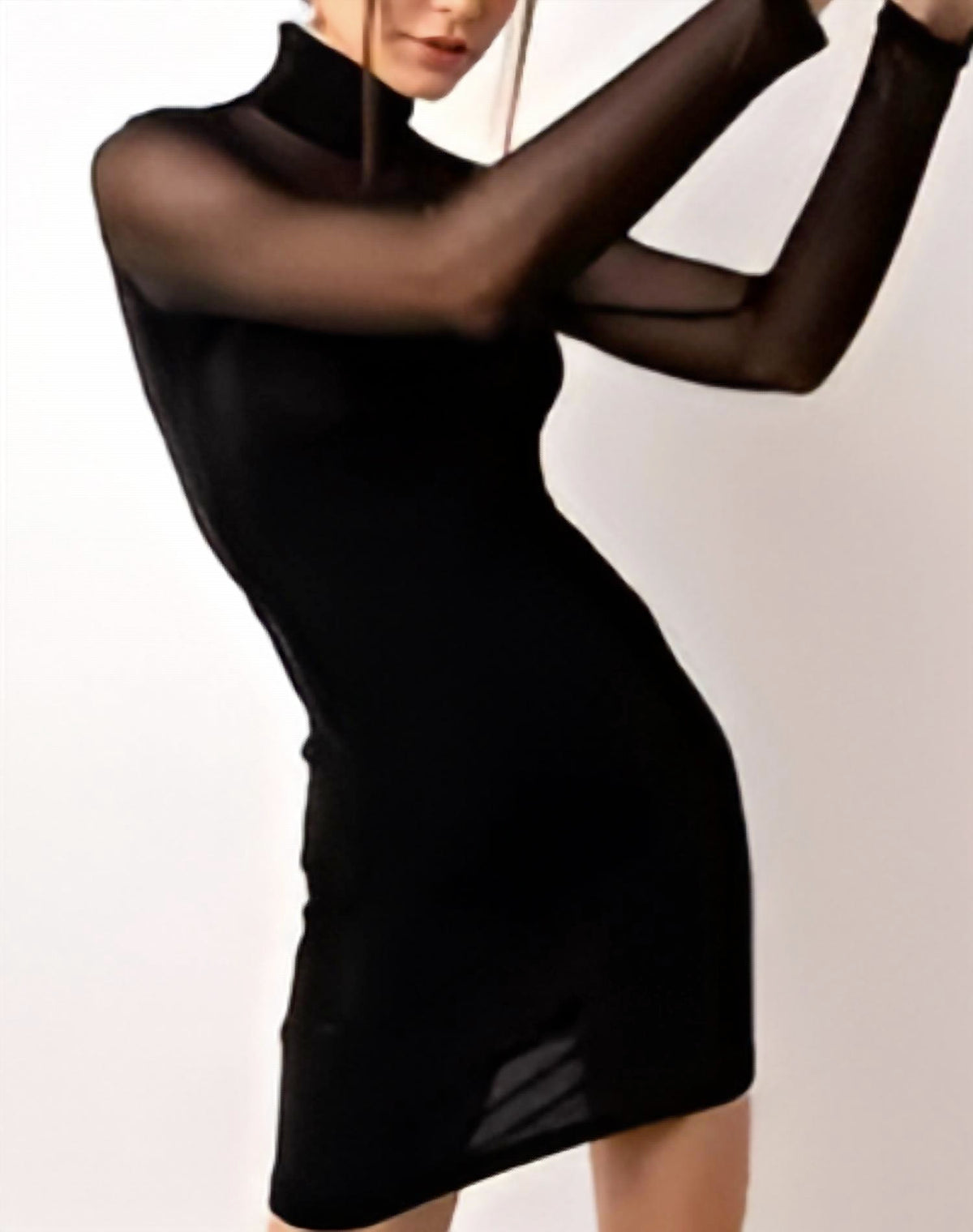 Amylynn - Luna Mesh High Neck Mesh Mini Dress