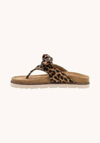 Corkys Footwear - Women's Never Settle Thong Sandal