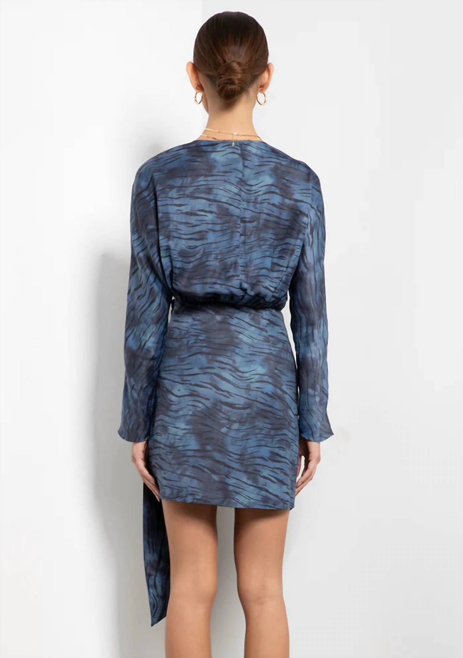 Isono Zebra Printed Dress