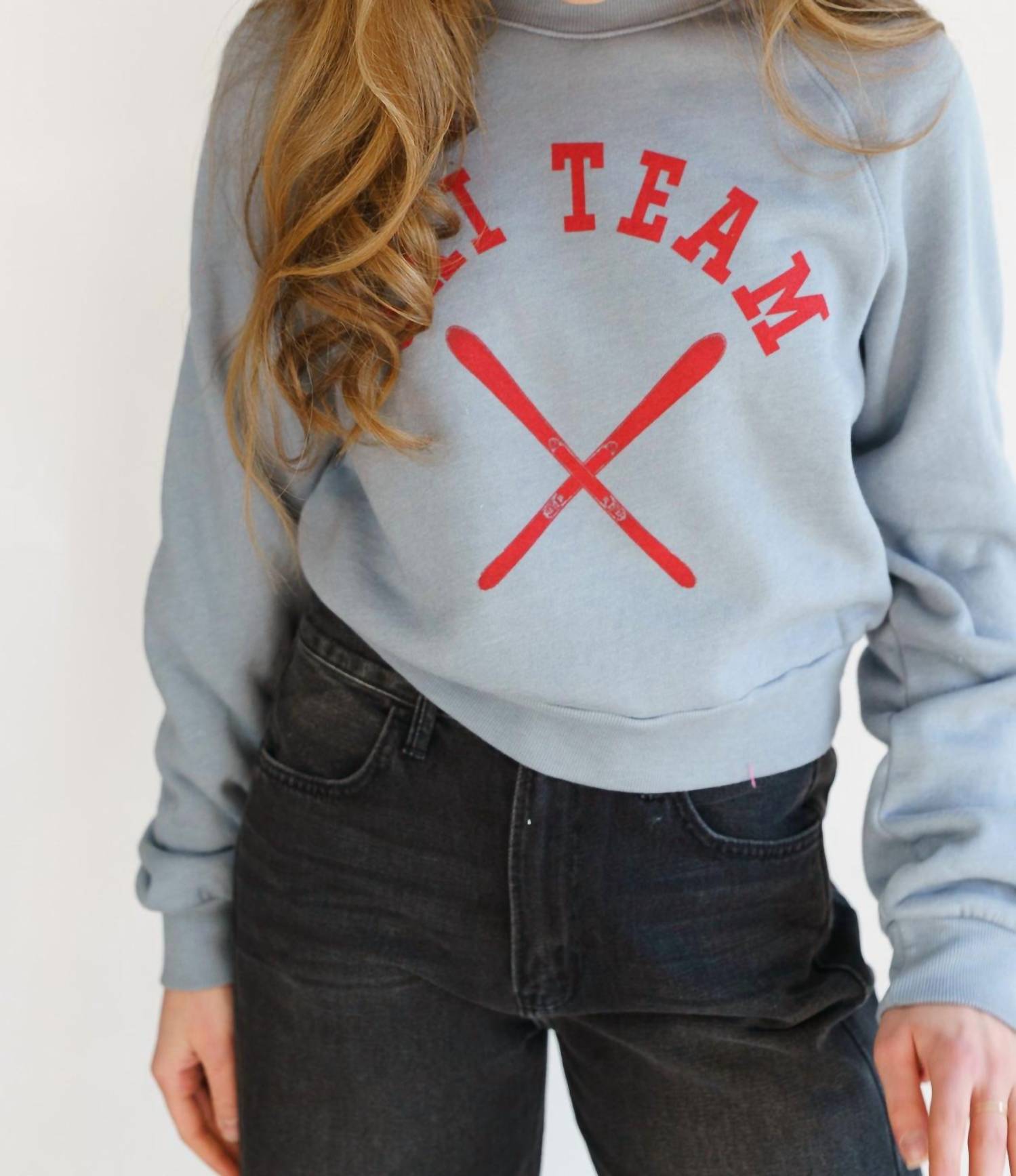 PROJECT SOCIAL T Apres Ski Team Shrunken Sweatshirt Top in dusty blue - women's top - detail view