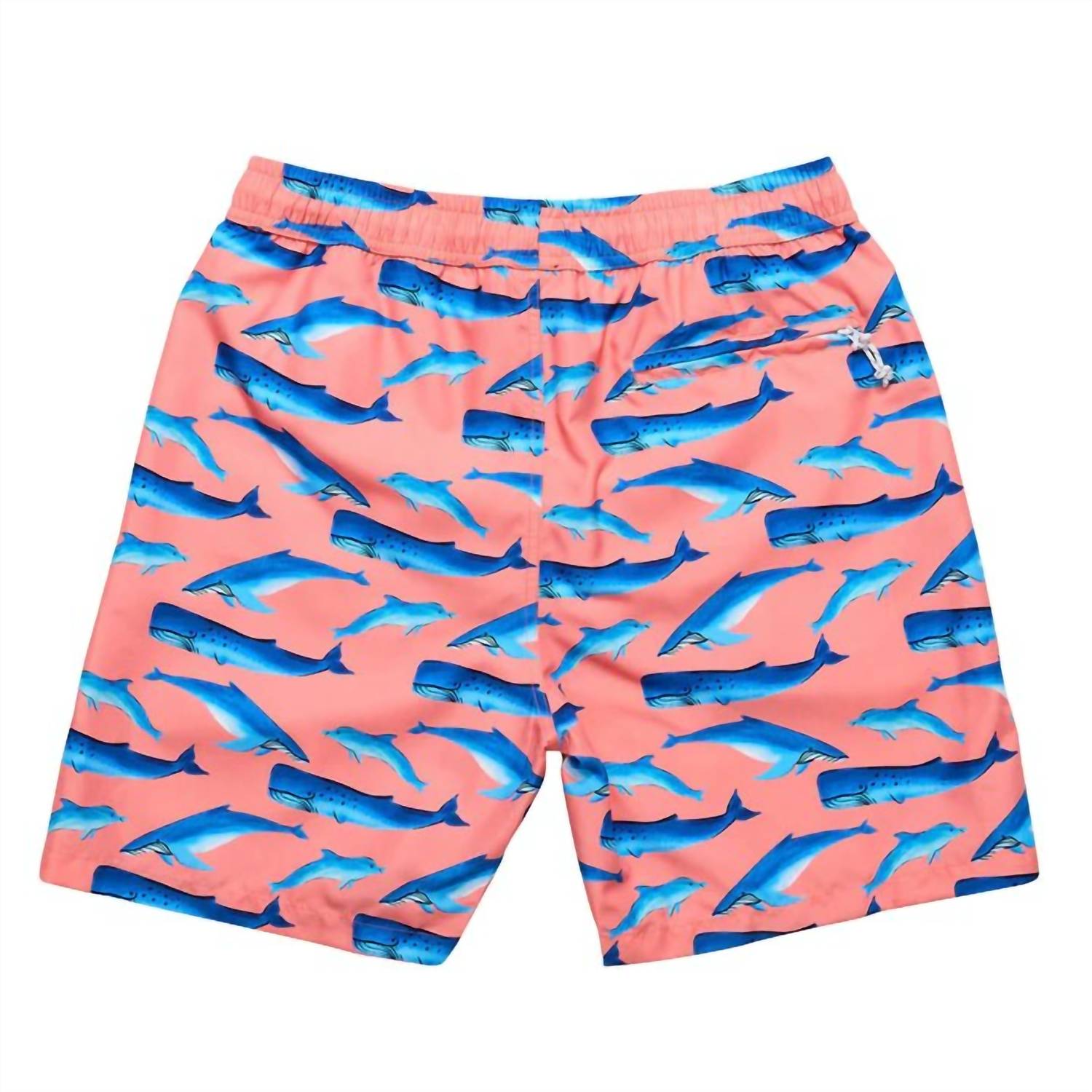 Snapper Rock - Mens' Swim Shorts