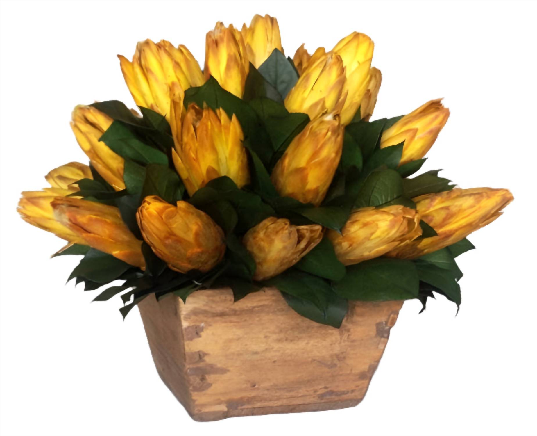 Forever Green Art - Vintage Protea Floral Arrangements